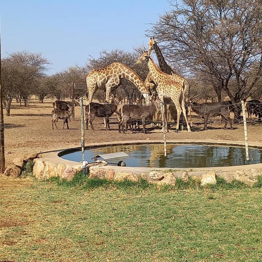 Ombo Rest Camp Hotel Okahandja Eksteriør billede