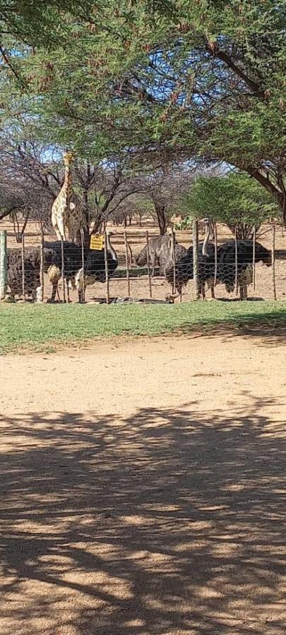 Ombo Rest Camp Hotel Okahandja Eksteriør billede